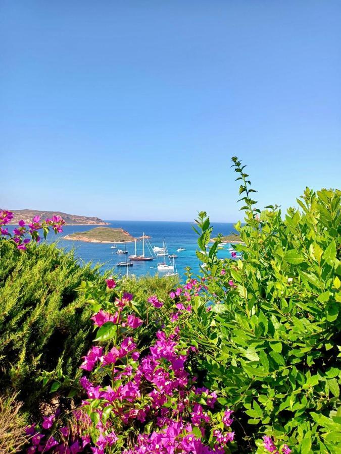 San Teodoro Punta Est Fantastico Trilocale Vista Mare Apartment Capo Coda Cavallo Exterior photo